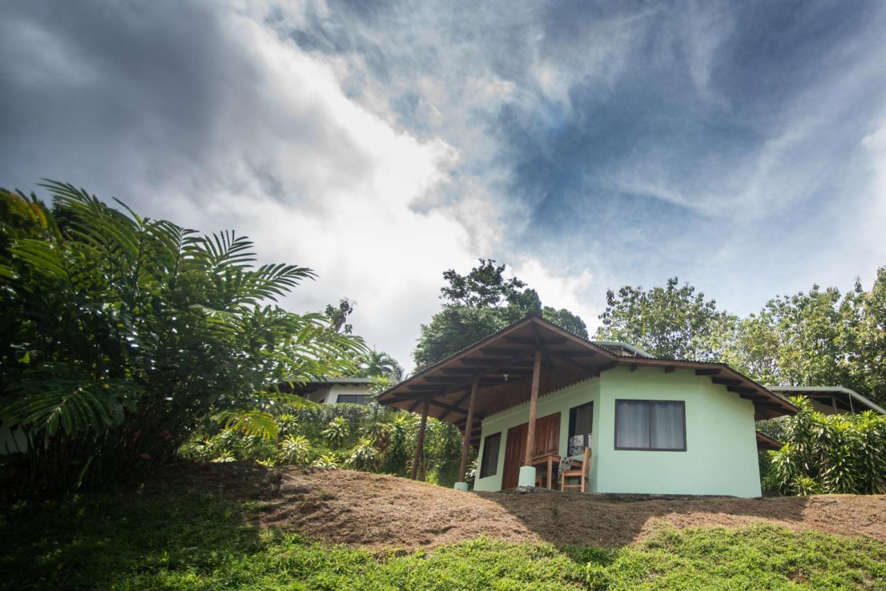 Ballena Paraiso Uvita Extérieur photo